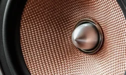 Can You Hear What the Brand Is Saying